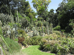 Ботанический сад Неаполя